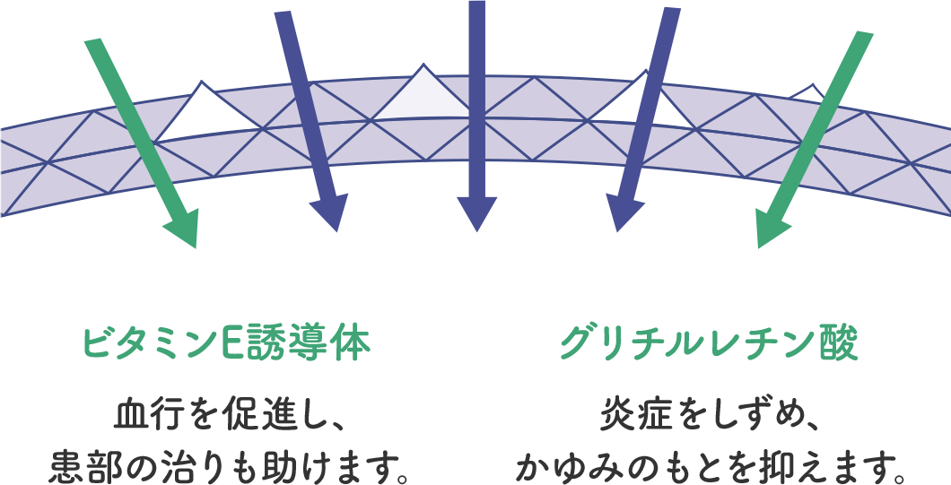 ビタミンE誘導体…血行を促進し、患部の治りも助けます。 グリチルレチン酸…炎症をしずめ、かゆみのもとを抑えます。