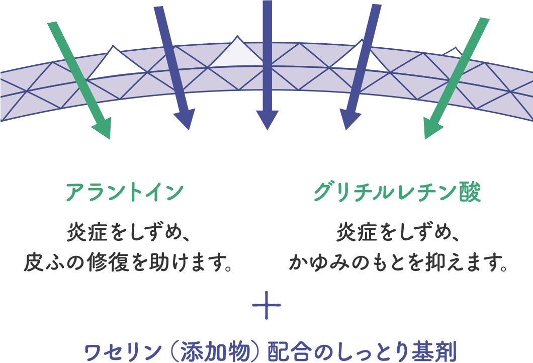 アラントイン…炎症をしずめ、皮ふの修復を助けます。 グリチルレチン酸…炎症をしずめ、かゆみのもとを抑えます。 + ワセリン（添加物）配合のしっとり基剤