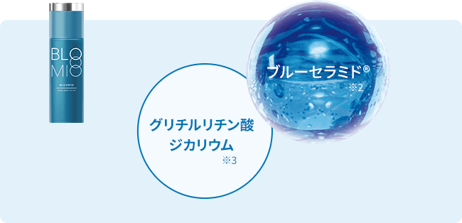 ブルーセラミド　グルチルリチン酸ジカリウム