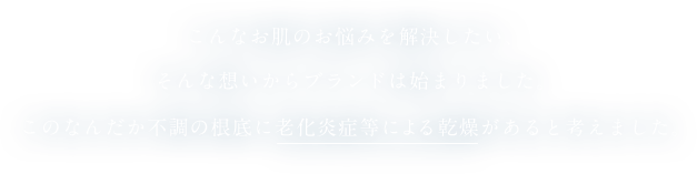 こんなお肌のお悩みを解決したい、そんな想いからブランドは始まりました。このなんだか不調の根底に老化炎症等による乾燥があると考えました。