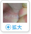イメージ拡大