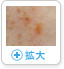イメージ拡大