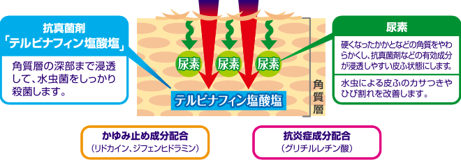 こだわり処方