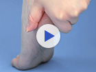 動画を見る