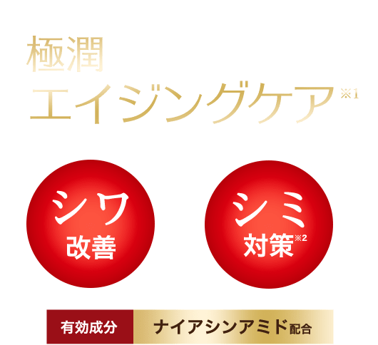 極潤エイジングケア※１ シワ改善 ＋ シミ対策※２ 有効成分ナイアシンアミド配合化粧水