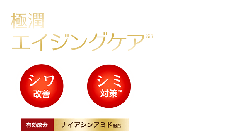 極潤エイジングケア※１ シワ改善 ＋ シミ対策※２ 有効成分ナイアシンアミド配合化粧水