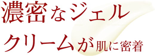 濃密なジェルクリームが肌に密着