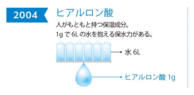 2004年 ヒアルロン酸