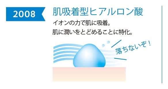 2008年 肌吸着型ヒアルロン酸
