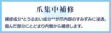 集中補修成分(傷んだ爪を補修) 加水分解ケラチン＊3 ヒドロキシプロピルキトサン