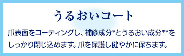 うるおいコート (補修成分を爪に留める) 油溶性うるおい成分 3種類のセラミド(ヒト型)＊1 コレステロールスクワラン 水溶性うるおい成分 低分子ヒアルロン酸＊2 グリセリン