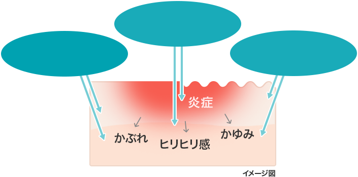 イメージ図