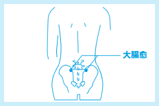 大腸兪（だいちょうゆ）