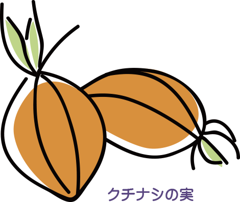 クチナシの実