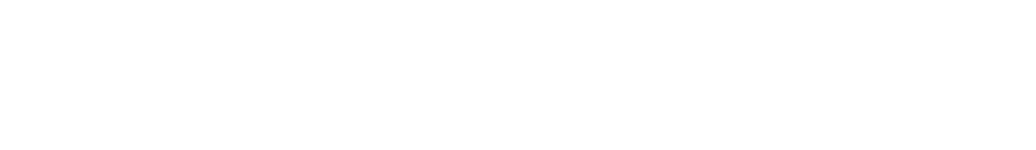 目の愛護車両