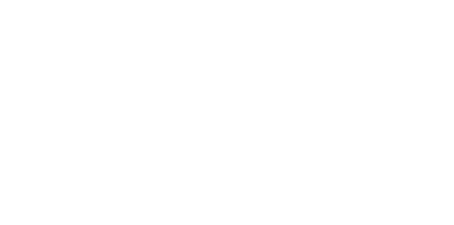 目の愛護車両