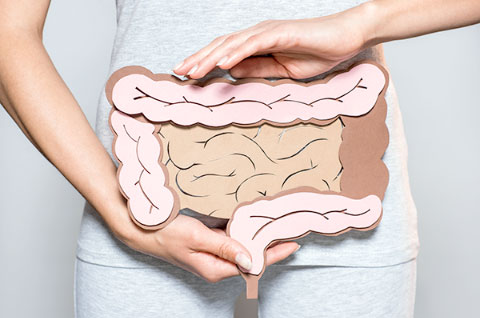 ストレスで腸内細菌のバランスが崩れると、腸内環境が悪くなる