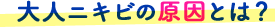 大人ニキビの原因とは?
