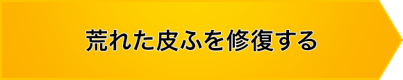 荒れた皮ふを修復する