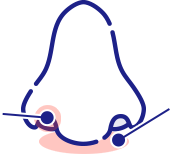 使用部位の図
