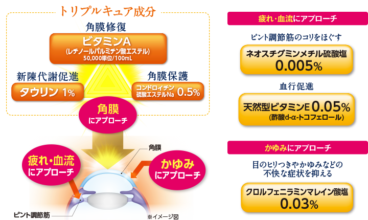 アプローチ図