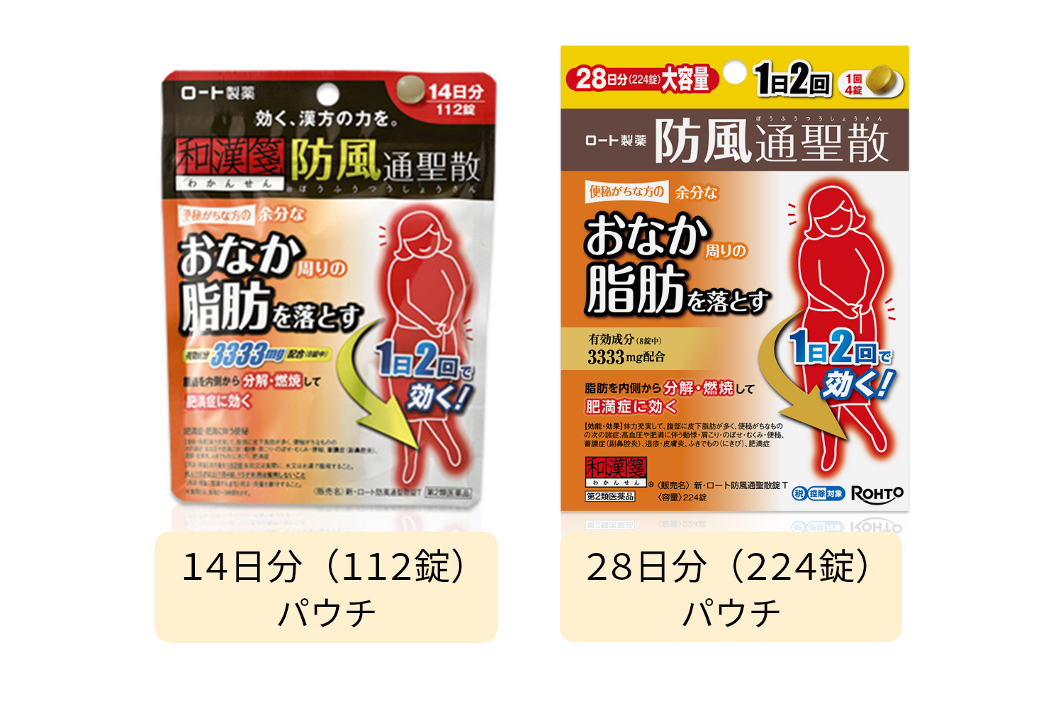 新・ロート防風通聖散錠T