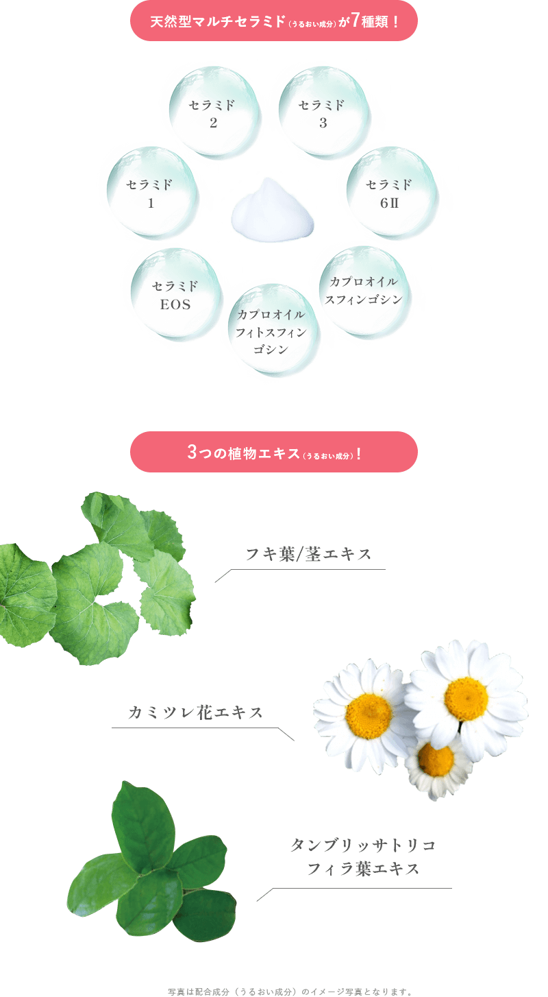 天然型マルチセラミドが7種類！セラミド 1、 セラミド 2、 セラミド 3、 セラミド 6Ⅱ、カプロオイル スフィンゴシン、 カプロオイルフィトスフィンゴシン、セラミド EOS。3つの植物エキス！フキ葉/茎エキス、カミツレ花エキス、タンブリッサトリコフィラ葉エキス。写真は配合成分（うるおい成分）のイメージ写真となります。