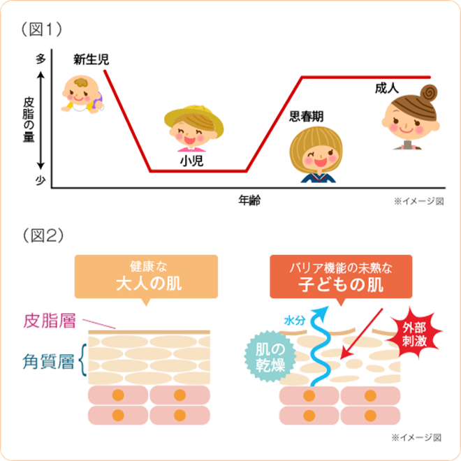 子供の肌はバリア機能が未熟で乾燥肌になりやすい 子供の乾燥肌はあせもなどの肌トラブルを招きがち