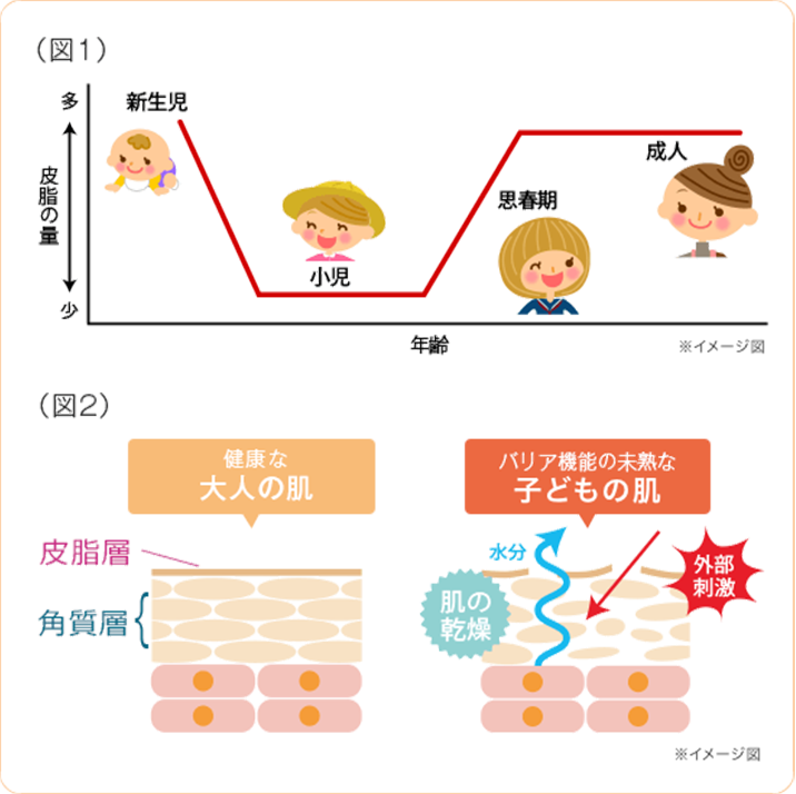子供の肌はバリア機能が未熟で乾燥肌になりやすい 子供の乾燥肌はあせもなどの肌トラブルを招きがち