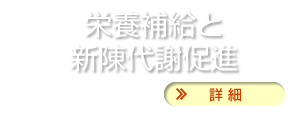 栄養補給と新陳代謝促進