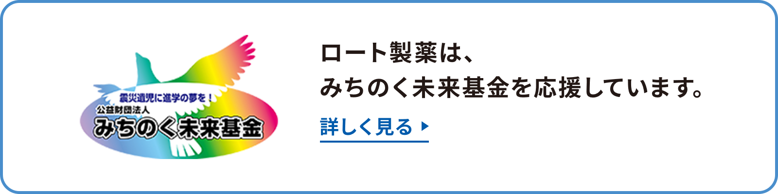 ロート製薬は、みちのく未来基金を応援しています。詳しく見る