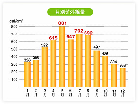 月別紫外線量
