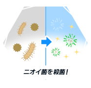 ※イメージ