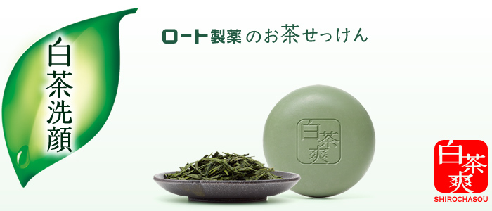白茶爽