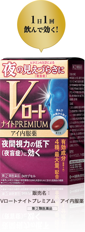 VロートナイトPREMIUM
