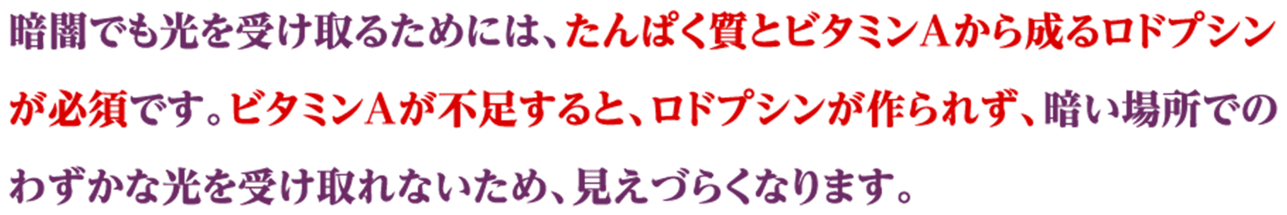 暗闇でも光を受け取るためには、たんぱく質とビタミンAから成るロドプシンが必須です。ビタミンAが不足すると、ロドプシンが作られず、暗い場所でのわずかな光を受け取れないため、見えづらくなります。